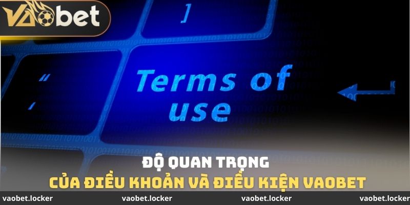 Độ quan trọng của điều khoản và điều kiện VaoBet